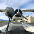 Prop Planes 3 photo